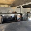 mitsubishi-fuso fighter 2019 CFJ1498512 image 27
