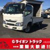 toyota dyna-truck 2017 GOO_NET_EXCHANGE_0702476A30241219W001 image 1