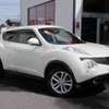 nissan juke 2011 2455216-26265 image 2