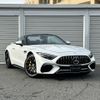 mercedes-benz amg 2023 -MERCEDES-BENZ--AMG 7BA-232481C--W1K2324811F015230---MERCEDES-BENZ--AMG 7BA-232481C--W1K2324811F015230- image 14