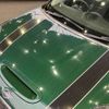mini mini-others 2019 CFJ1235043 image 8