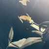 volvo v40 2018 CFJ1518684 image 11