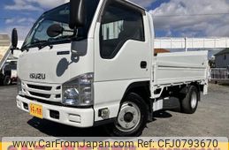 isuzu elf-truck 2019 GOO_NET_EXCHANGE_0540192A30250224W001