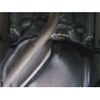 toyota sai 2010 -TOYOTA--SAI DAA-AZK10--AZK10-2024636---TOYOTA--SAI DAA-AZK10--AZK10-2024636- image 6