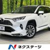 toyota rav4 2019 CFJ1847706 image 1