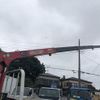 isuzu elf-truck 2014 CFJ1538697 image 16