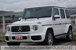 mercedes-benz g-class 2023 quick_quick_3BA-463276_W1N4632762X457711