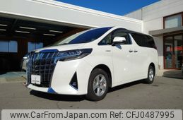 toyota alphard 2020 -TOYOTA--Alphard 6AA-AYH30W--AYH30-0106095---TOYOTA--Alphard 6AA-AYH30W--AYH30-0106095-