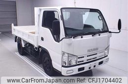 isuzu elf-truck 2007 CFJ1704402