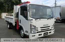 isuzu elf-truck 2019 GOO_NET_EXCHANGE_1300219A30241030W002