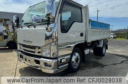 isuzu elf-truck 2019 GOO_NET_EXCHANGE_9731195A30240720W001