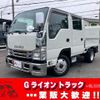 isuzu elf-truck 2017 GOO_NET_EXCHANGE_0730189A30250527W001 image 1
