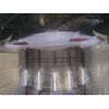 mitsubishi i-miev 2012 -MITSUBISHI 【つくば 581き1218】--i-Miev HA3W-0303709---MITSUBISHI 【つくば 581き1218】--i-Miev HA3W-0303709- image 14