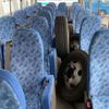 mitsubishi-fuso rosa-bus 2017 CFJ1843048 image 11