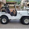 mitsubishi jeep 1995 quick_quick_J55_J55-10923 image 3