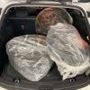 toyota corolla-touring-wagon 2021 CFJ1851638 image 9