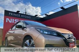 nissan leaf 2021 CFJ1804732