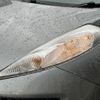 nissan juke 2011 CFJ1859374 image 10