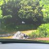mazda cx-8 2018 CFJ1593974 image 6