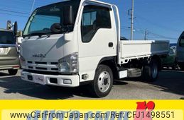 isuzu elf-truck 2010 GOO_NET_EXCHANGE_9030941A30250731W002