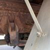 mitsubishi-fuso fighter 1992 -MITSUBISHI--Fuso Fighter FK617J-500372---MITSUBISHI--Fuso Fighter FK617J-500372- image 8