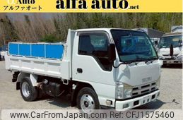 isuzu elf-truck 2009 CFJ1575460