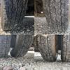 isuzu elf-truck 2007 quick_quick_KR-NHR69_NHR69-7011869 image 14