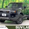 toyota toyota-others 2024 quick_quick_TRJ250W_TRJ250-0008687 image 1