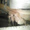 toyota coaster 2002 CFJ1664633 image 12