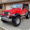 jeep wrangler 1995 quick_quick_E-HYMX_1J4FY29S5SP239146 image 9