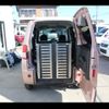 mitsubishi toppo 2009 CFJ1565314 image 14