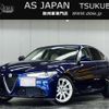 alfa-romeo giulia 2019 quick_quick_3DA-95222_ZAREAEKX6K7617302 image 1