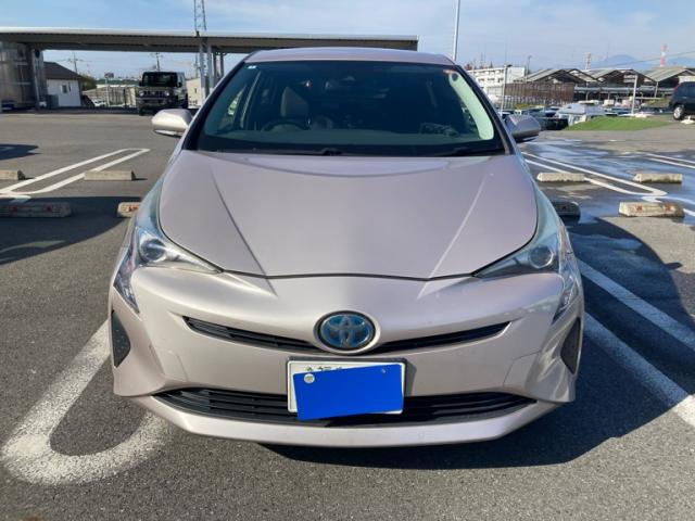 P.phoebus（1メス、アラスカ産） Used Toyota Prius 2015 For Sale | CAR FROM JAPAN