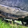 subaru legacy-touring-wagon 2007 CFJ1809844 image 6