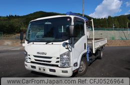 isuzu elf-truck 2019 GOO_NET_EXCHANGE_1100588A30241205W002