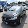 peugeot 206 2007 GOO_JP_700054078630240731002 image 1