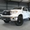 toyota tundra 2010 GOO_NET_EXCHANGE_0401599A30230625W001 image 33