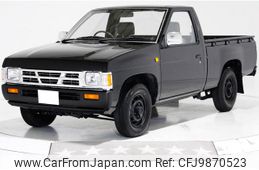 nissan dutsun-truck 1995 GOO_NET_EXCHANGE_0403769A30240606W001