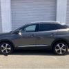 peugeot 3008 2024 CFJ0829072 image 17