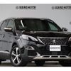 peugeot 3008 2019 CFJ1806279 image 10