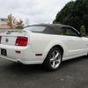 ford mustang 2007 -FORD--Ford Mustang ﾌﾒｲ--ｱｲ5163902ｱｲ---FORD--Ford Mustang ﾌﾒｲ--ｱｲ5163902ｱｲ- image 14