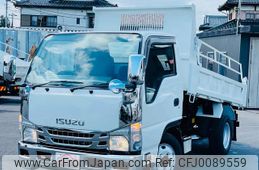 isuzu elf-truck 2010 GOO_NET_EXCHANGE_0404044A30240807W001