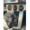 toyota corolla-rumion 2013 CFJ1844737 image 21