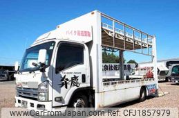 isuzu elf-truck 2007 CFJ1857979