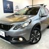 peugeot 2008 2020 CFJ1878392 image 13