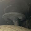 toyota voxy 2021 CFJ1599459 image 20