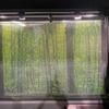 honda n-box 2018 -HONDA--N BOX DBA-JF3--JF3-2062992---HONDA--N BOX DBA-JF3--JF3-2062992- image 7