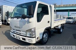 isuzu elf-truck 2010 GOO_NET_EXCHANGE_0802180A30250122W001