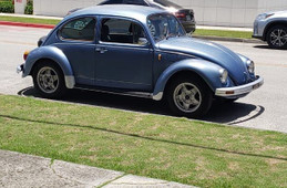 Volkswagen The Beetle 1989