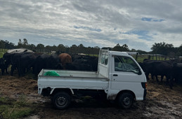 Daihatsu Hijet Truck 1998